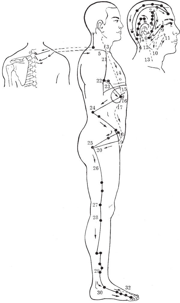 akupunktur-uddannelse-galdeblære-meridian